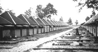 Camp Forrest Huts for Civilian Internees